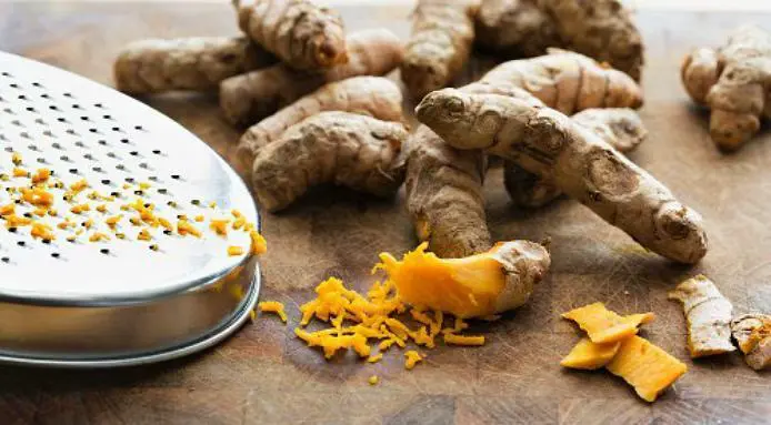 Le curcuma frais